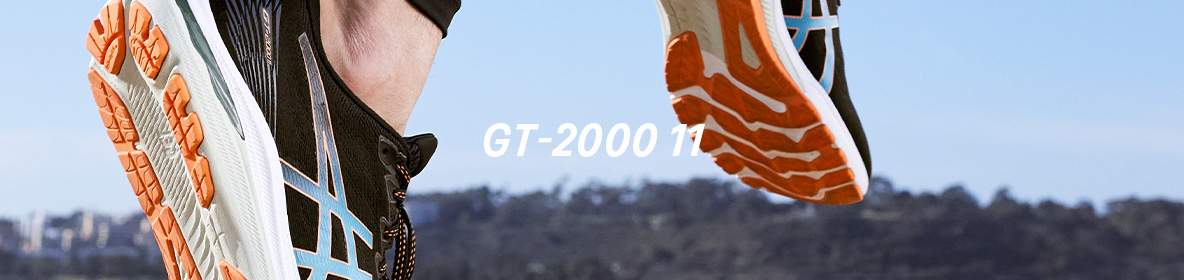 GT-2000 11